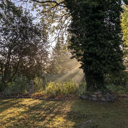 Schlossgut Gorow Satow Exteriör bild